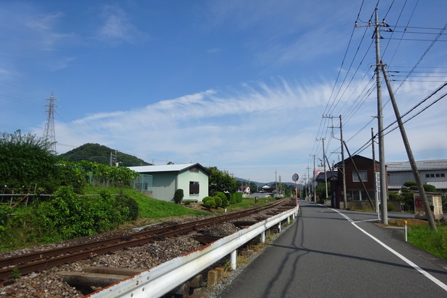 DSC04069.jpg