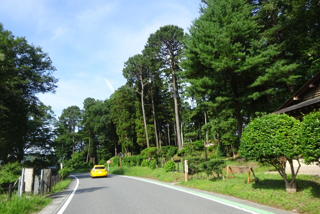 DSC04070.jpg