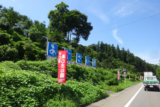 DSC04075.jpg