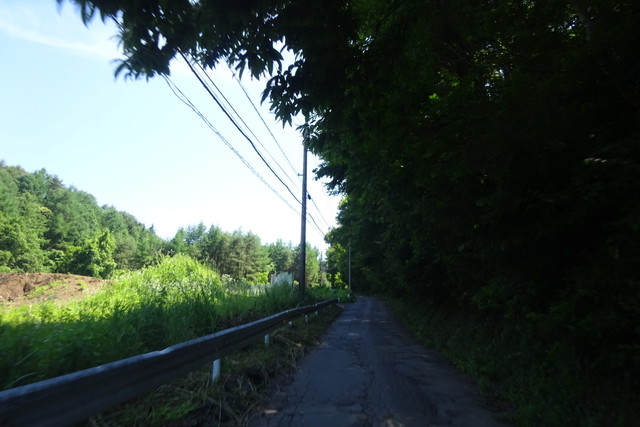 DSC04103.jpg
