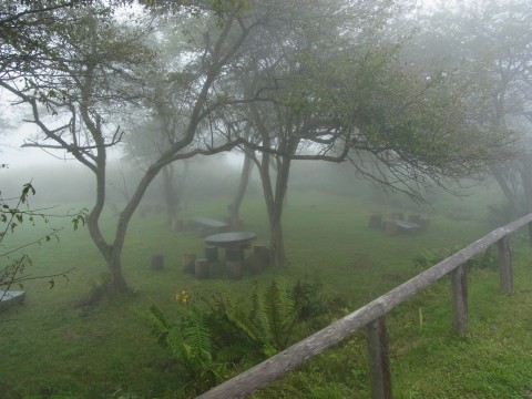 R0011929.jpg