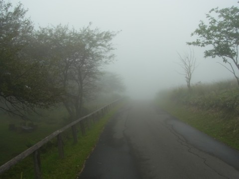 R0011932.jpg