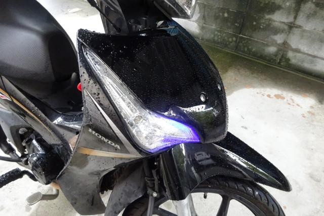 幹細胞:その正体、特徴、そして何のためにあるのか