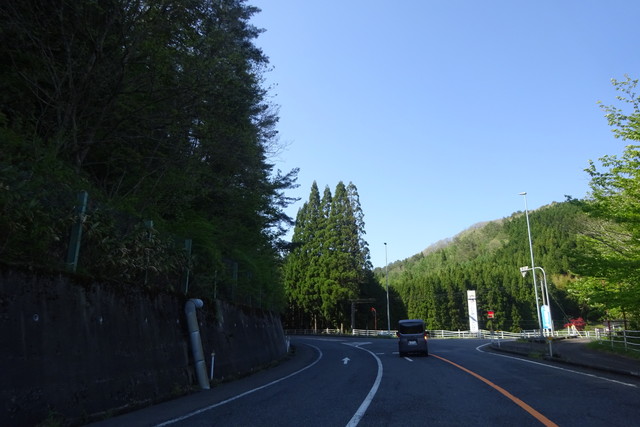 DSC02455.jpg