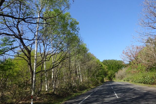 DSC02458.jpg