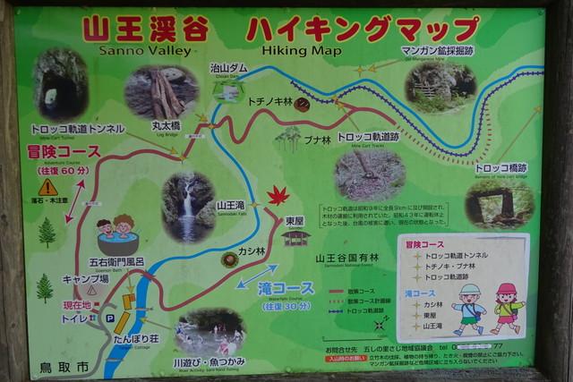 DSC02478.jpg