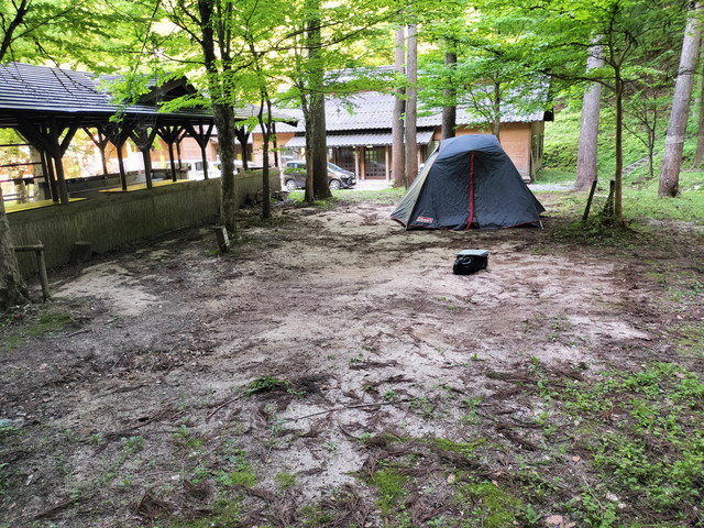 IMG20240504155252.jpg