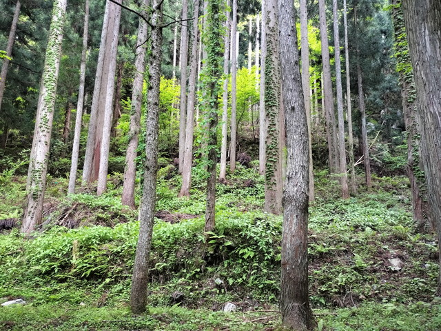 IMG20240504175853.jpg