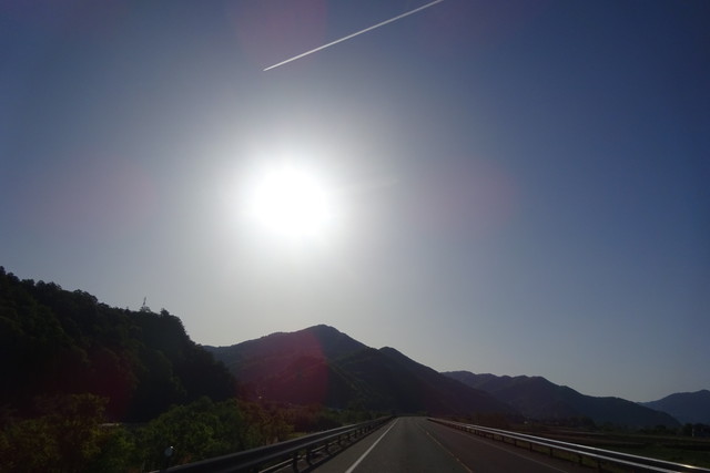 DSC02497.jpg
