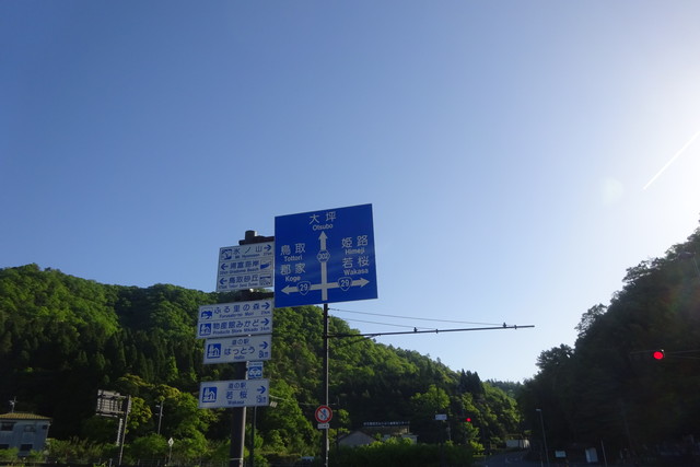 DSC02498.jpg