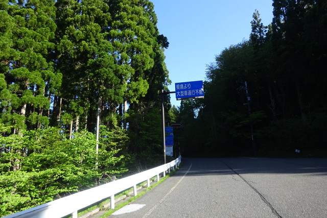 DSC02513.jpg
