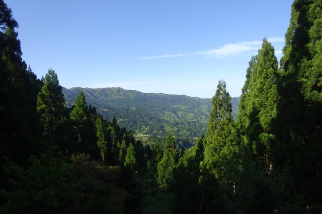 DSC02521.jpg