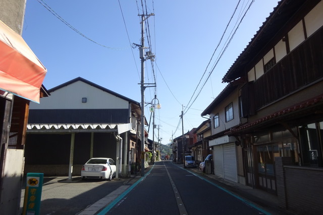 DSC02528.jpg