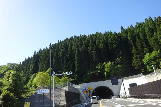 DSC02531.jpg