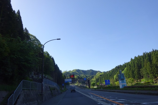 DSC02534.jpg