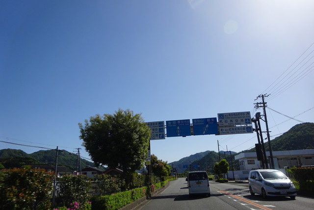 DSC02539.jpg