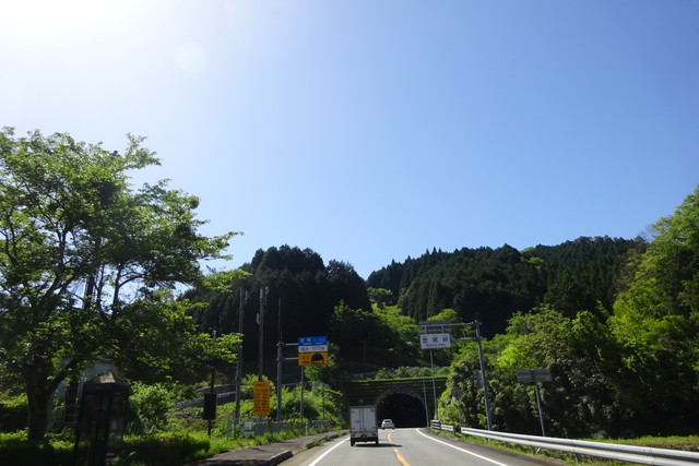 DSC02546.jpg