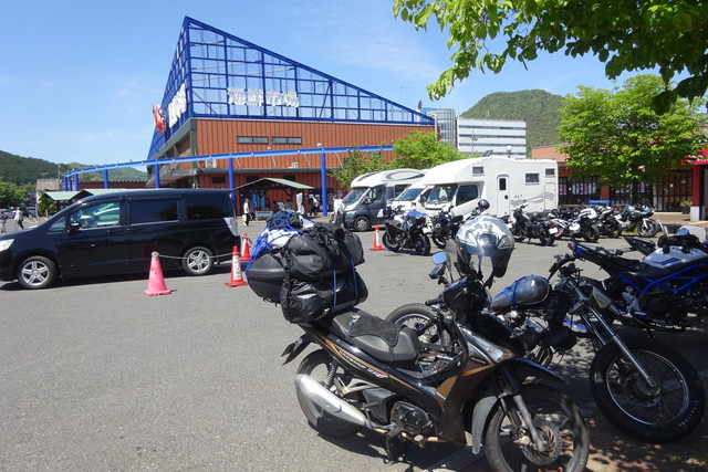 DSC02552.jpg