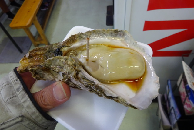 DSC02554.jpg