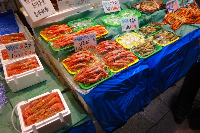 DSC02556.jpg
