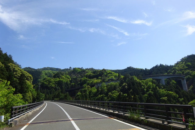 DSC02570.jpg