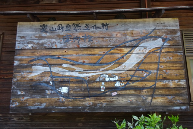 DSC02594.jpg