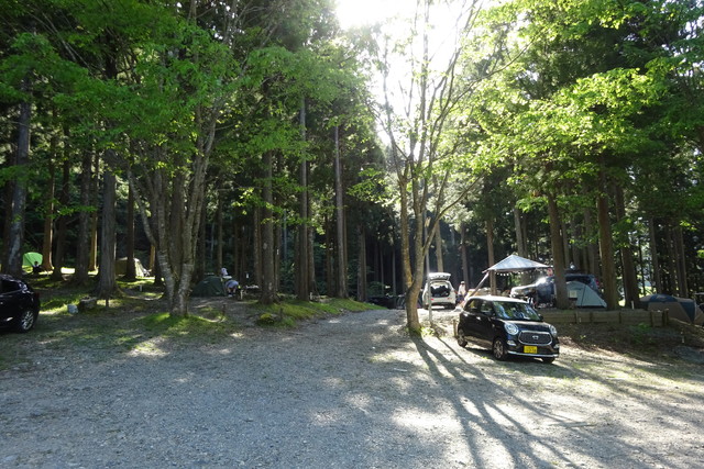 DSC02602.jpg