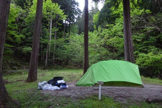 DSC02609.jpg