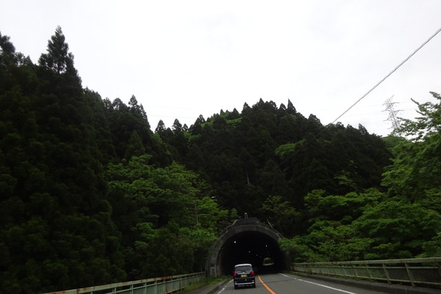 DSC02623.jpg