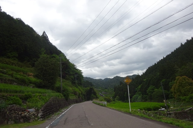 DSC02635.jpg