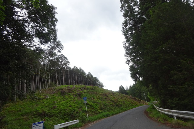 DSC02640.jpg