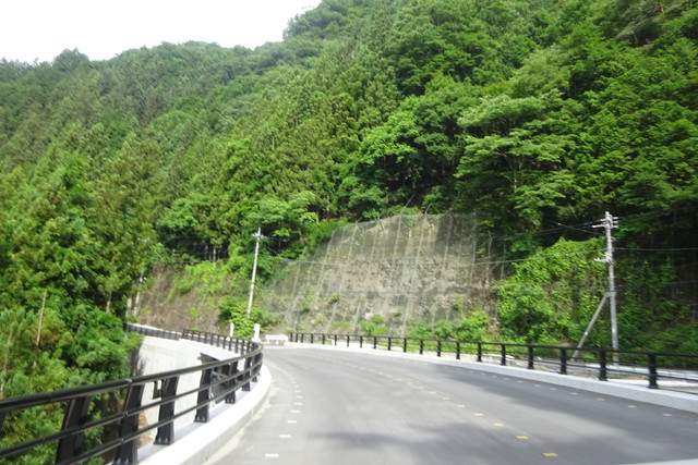 DSC02852.jpg