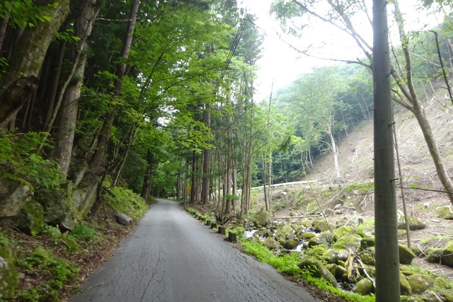 DSC02876.jpg