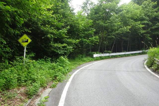 DSC02880.jpg