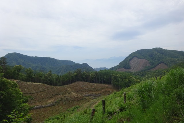 DSC02895.jpg