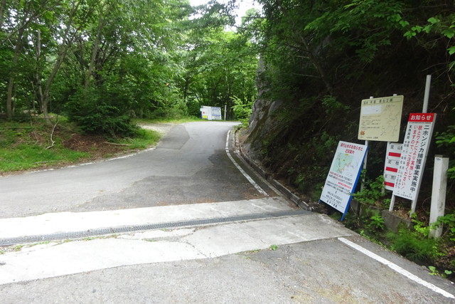 DSC02899.jpg
