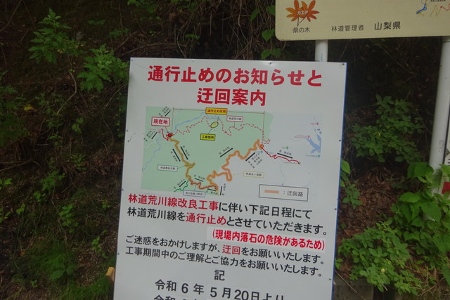 DSC02900.jpg