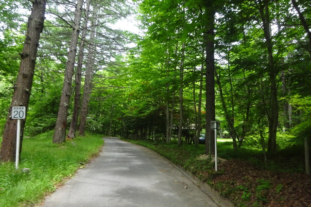 DSC02904.jpg