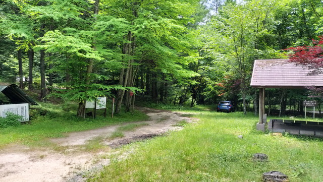IMG20240706115400.jpg
