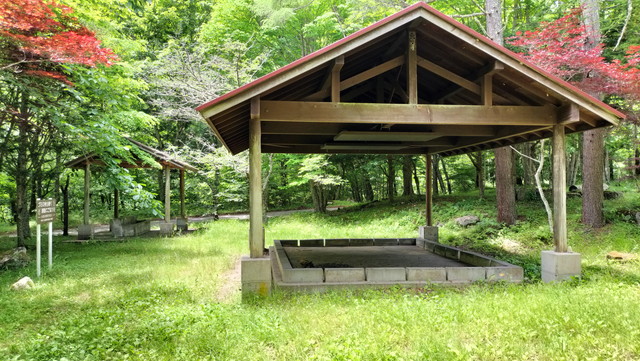 IMG20240706115428.jpg