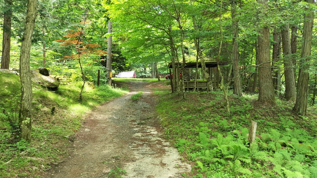 IMG20240706115438.jpg