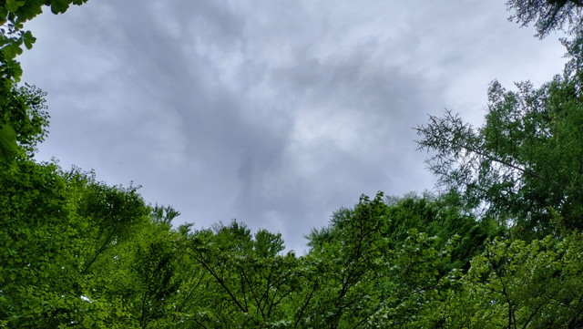 IMG20240706134527.jpg