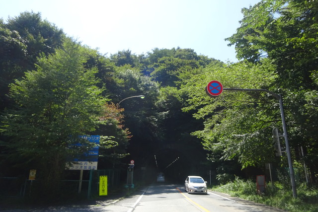 DSC03672.jpg