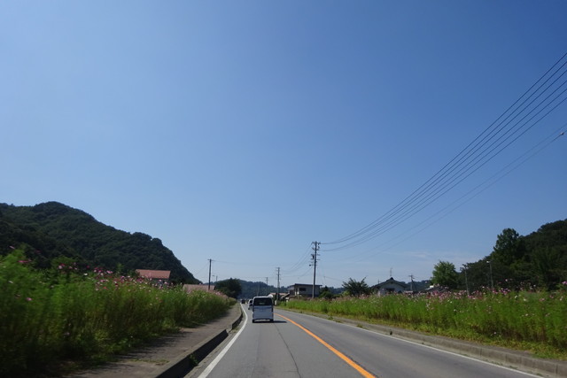 DSC03675.jpg