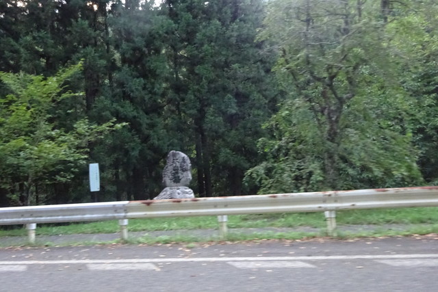 DSC03687.jpg