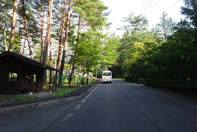 DSC03693.jpg