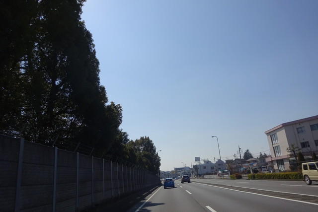 DSC02711.jpg