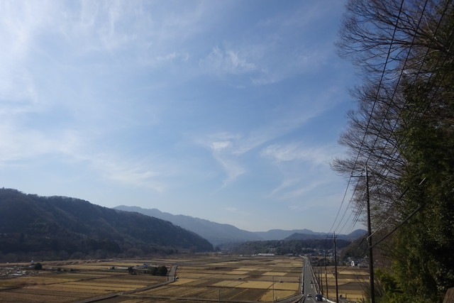 DSC02713.jpg