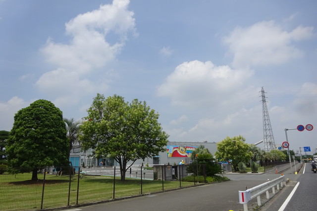 DSC04052.jpg