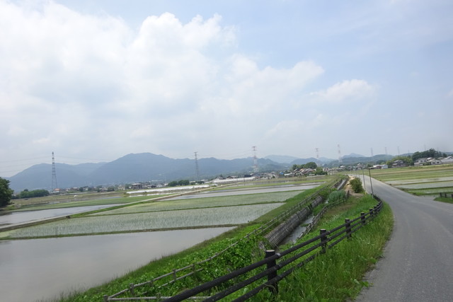 DSC04054.jpg